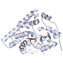 CYP11B2 binding the Cushing's drug osilodrostat
