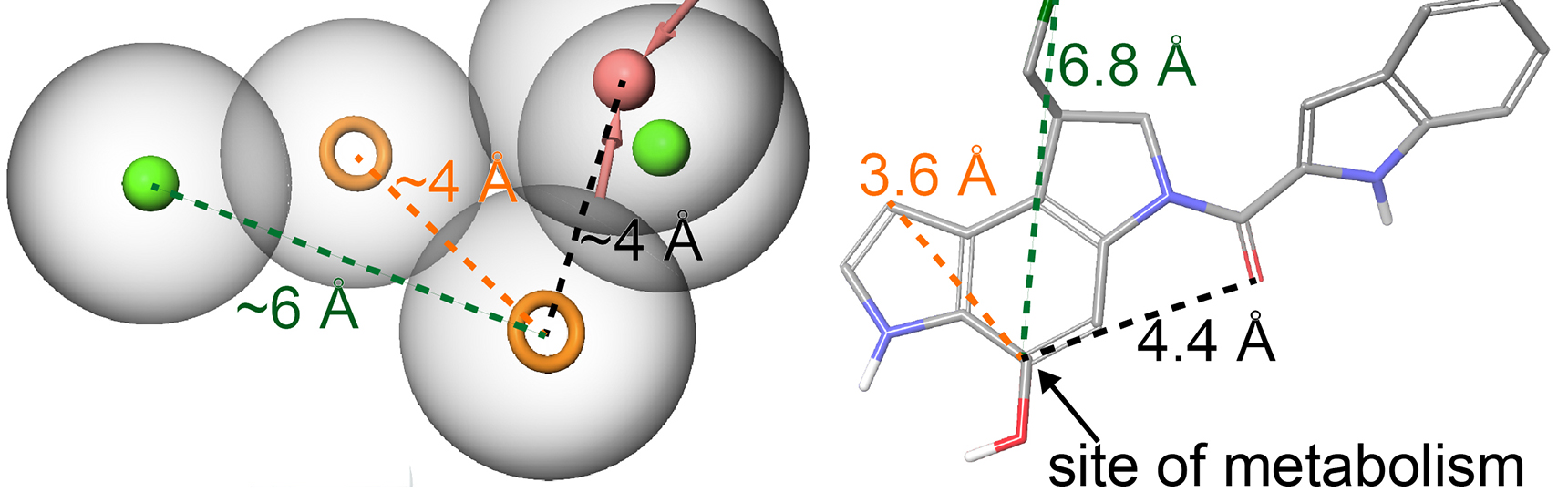 Cytochrome P450 2W1:  Identification of New Inhibitors, Active Site Ligands, and Pharmacophores