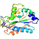 NADPH-Cytochrome P450 reductase FMN-containing domain with FMN in black sticks