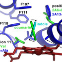 Comparison of cytochrome P450 2A13 and 2A6 active sites