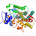 Human Cytochrome P450 1A1 with alpha-naphthoflavone