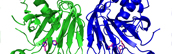 Crystal structure of prolyl 4-hydroxylase from Bacillus anthracis