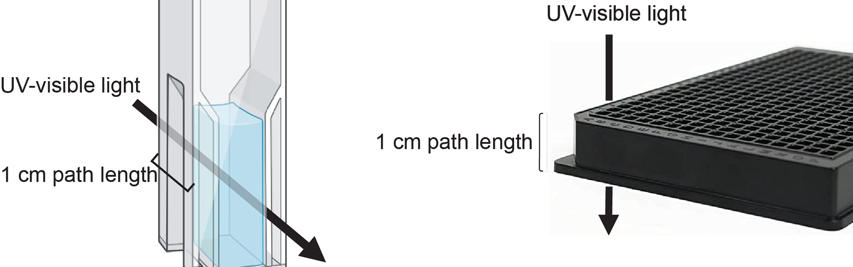 Development of a high throughput cytochrome P450-ligand binding assay